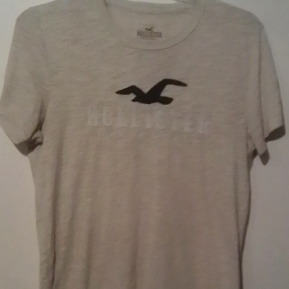 Hollister Gray Short Sleeve Tee with Iconic Logo